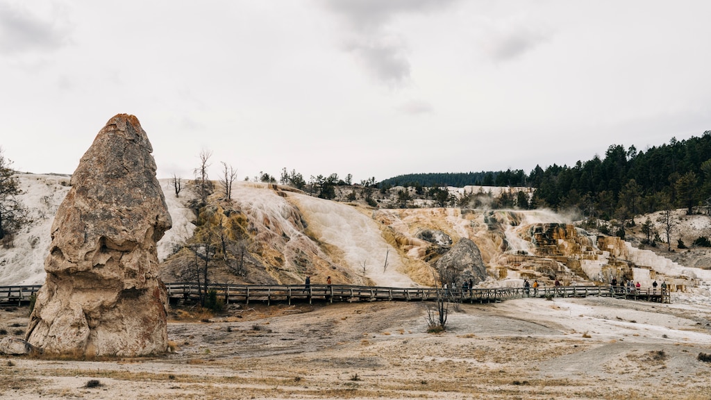 Algunas personas caminan por una pasarela en la base de una colina, en el área de solfataras de Yellowstone.