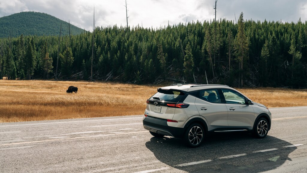 Una Bolt EUV circula por un camino de Yellowstone en frente de colinas cubiertas de árboles y un bisonte pastando en un campo.