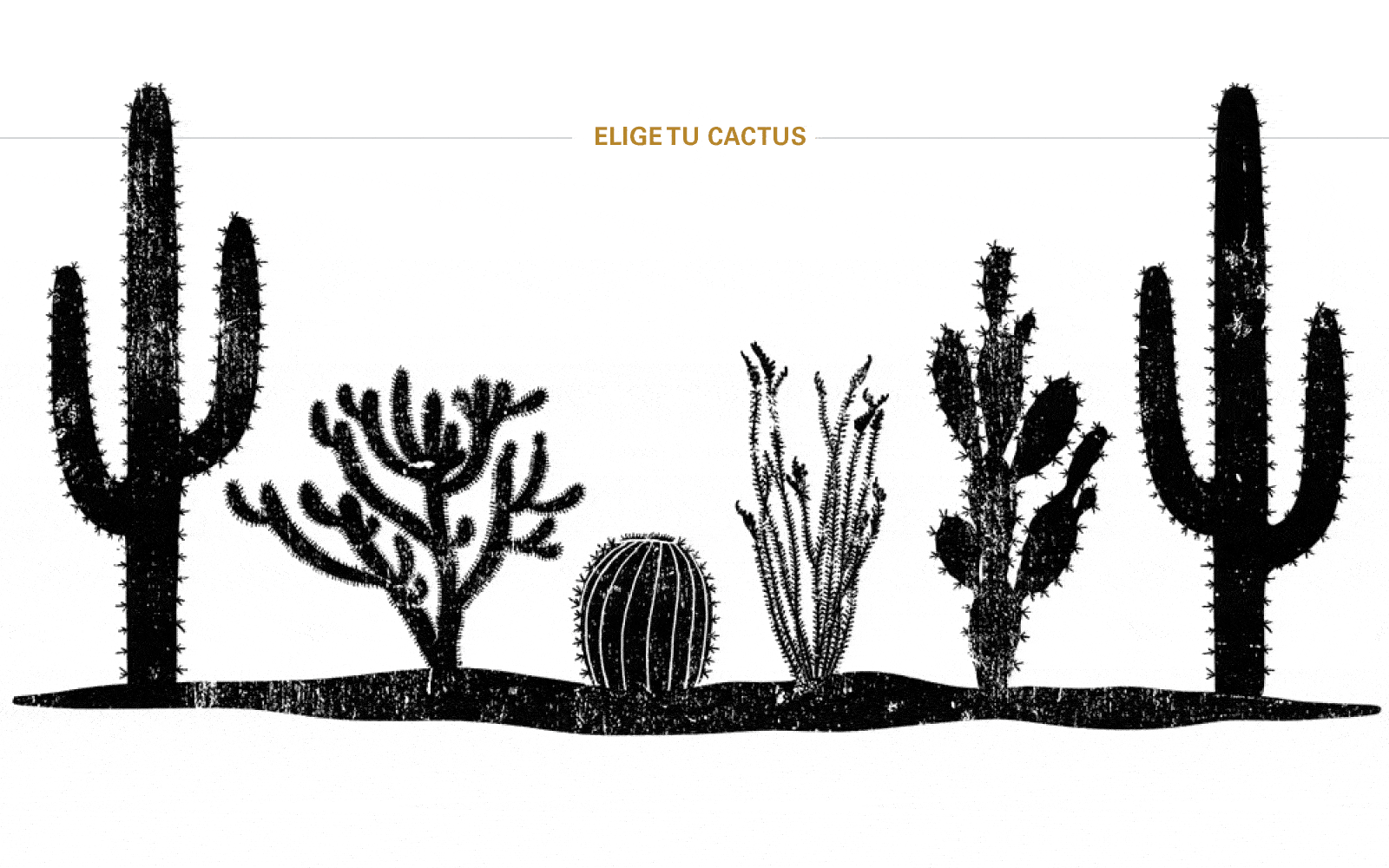 Una animación gif que destaca los distintos tipos de cactus que se encuentran en el desierto de Arizona: saguaro, choya, cactus erizo, ocotillo y nopal.