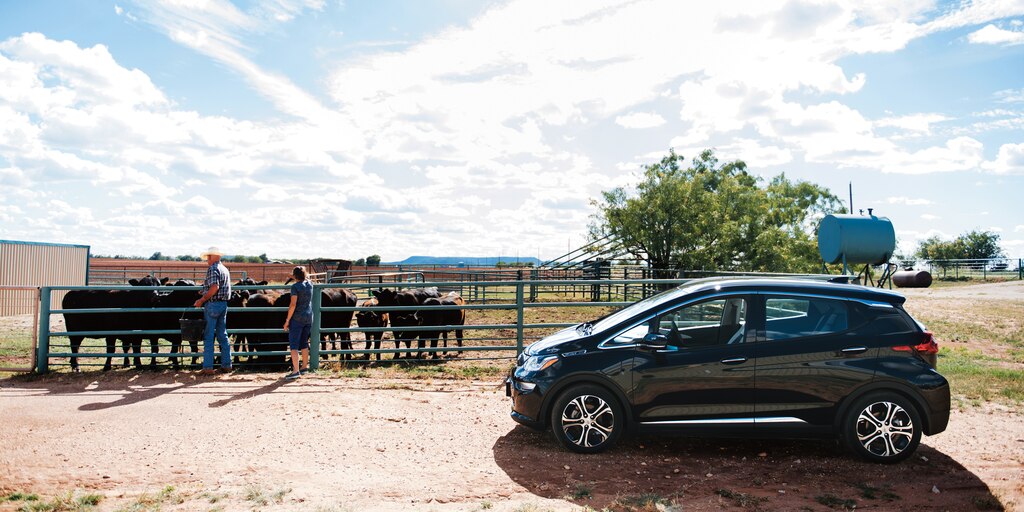 Un hombre y una mujer se encuentran cerca de un grupo de vacas, con un Bolt EV en primer plano.
