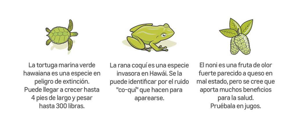 Una ilustración de una tortuga con el pie descriptivo: "La tortuga marina verde hawaiana es una especie en peligro de extinción. Puede llegar a crecer hasta 4 pies de largo y pesar hasta 300 libras." Una ilustración de una rana coquí con el pie descriptivo: "La rana coquí es una especie invasora en Hawái. Se la puede identificar por el ruido "co-quí" que hacen para aparearse." Una ilustración de la fruta noni con el pie descriptivo: "El noni es una fruta de olor fuerte parecido a queso en mal estado, pero se cree que aporta muchos beneficios para la salud. Pruébala en jugos."