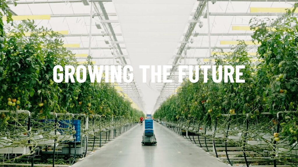 Una amplia imagen del interior del invernadero de AppHarvest, con la frase "Growing the future" (Cultivando el futuro) impresa en la imagen.
