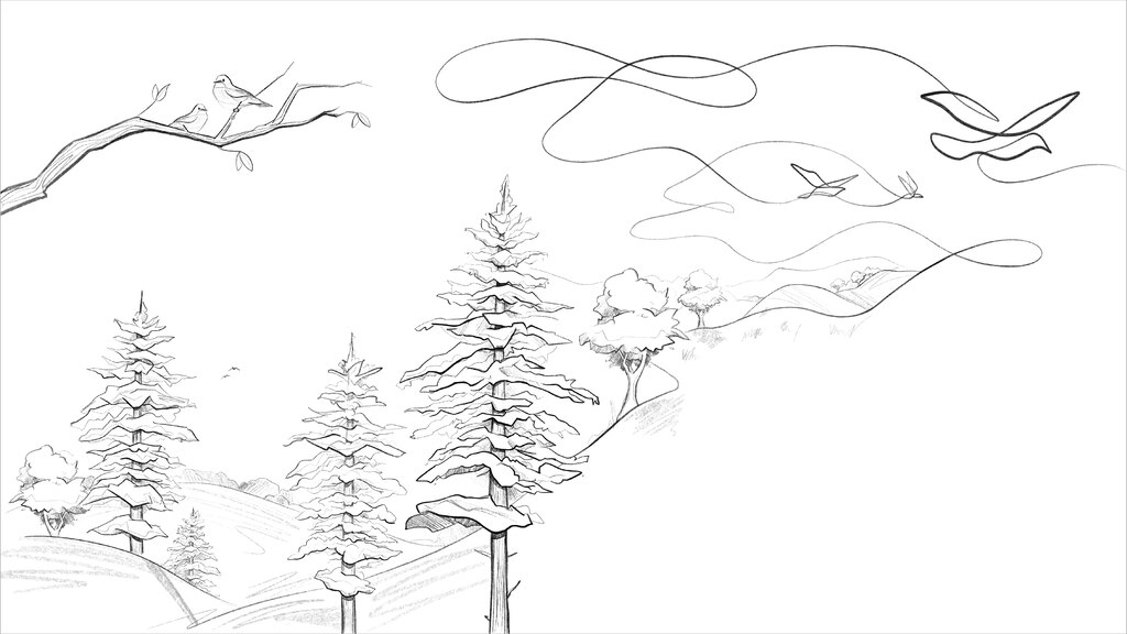 Un dibujo lineal en blanco y negro, hecho con lápiz, de árboles de hoja perenne en la ladera de una colina, con pájaros alejándose de los árboles. El boceto se realiza trazando una única línea ininterrumpida.
