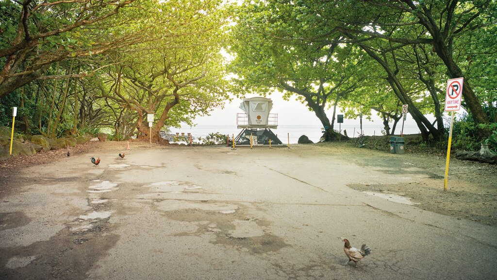 La autopista de Kuhio en Hawái termina en el parque de Ke'e State Beach.