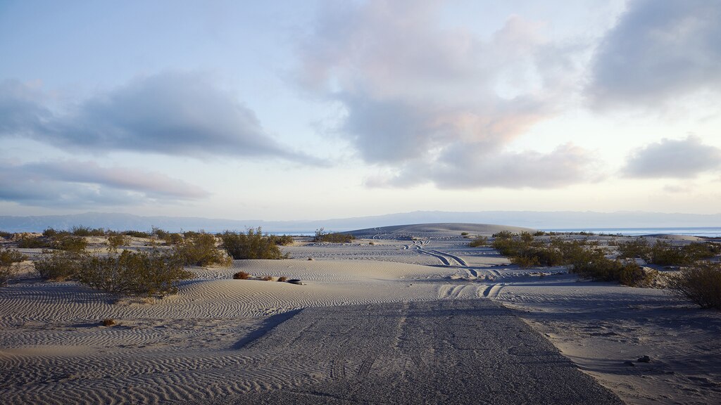 Un camino cubierto de arena que desemboca en el lago Saltón, California.