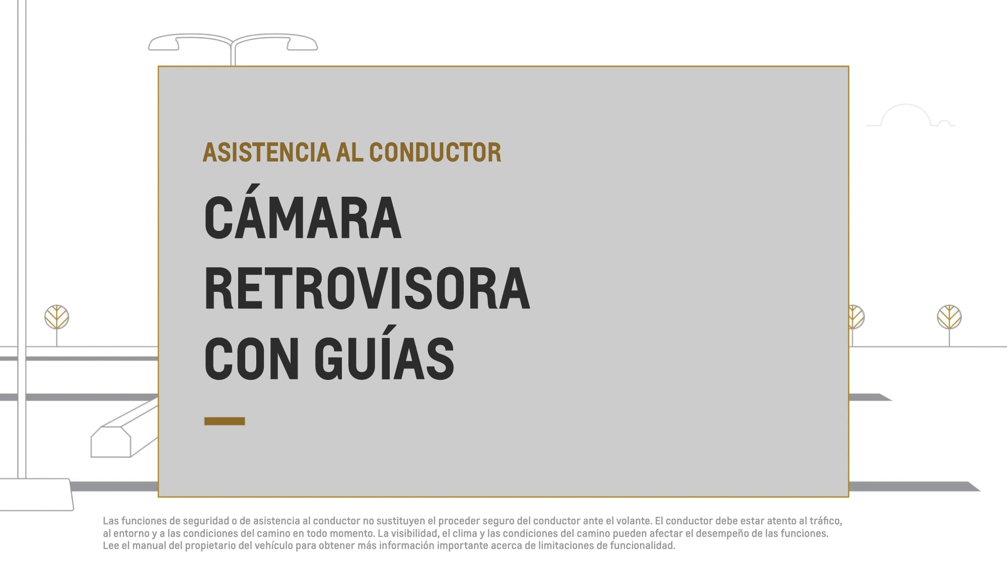 cámara retrovisora con guías