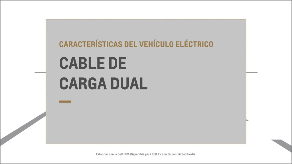 cable de carga dual disponible