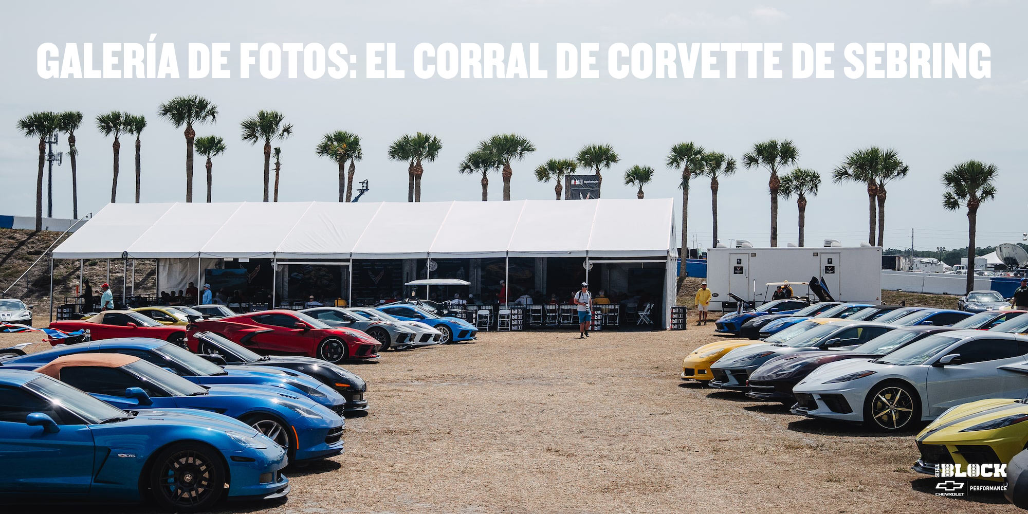 Galería de fotos: El corral de Corvette de Sebring