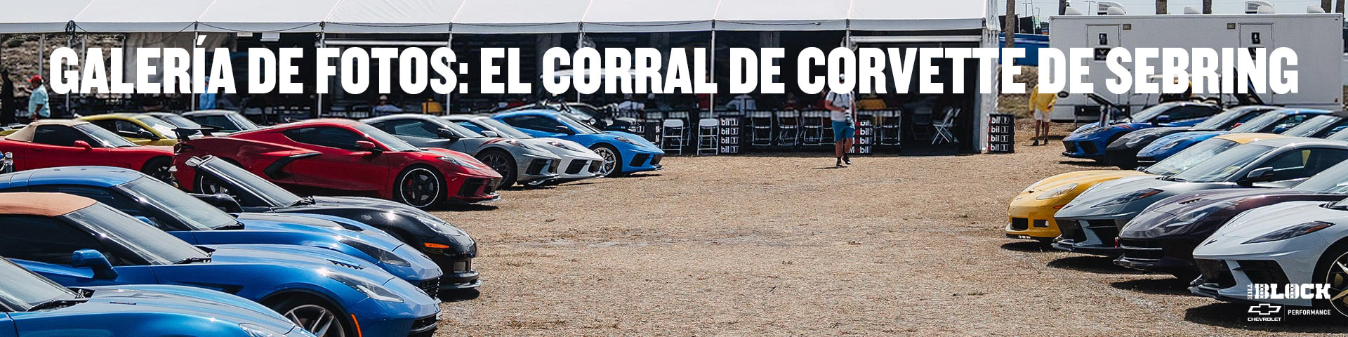 Galería de fotos: El corral de Corvette de Sebring