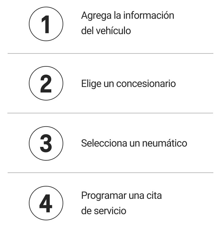 buscador-seguimiento de neumáticos