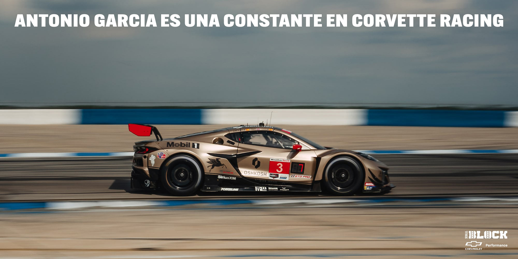 Antonio Garcia es una constante en Corvette Racing