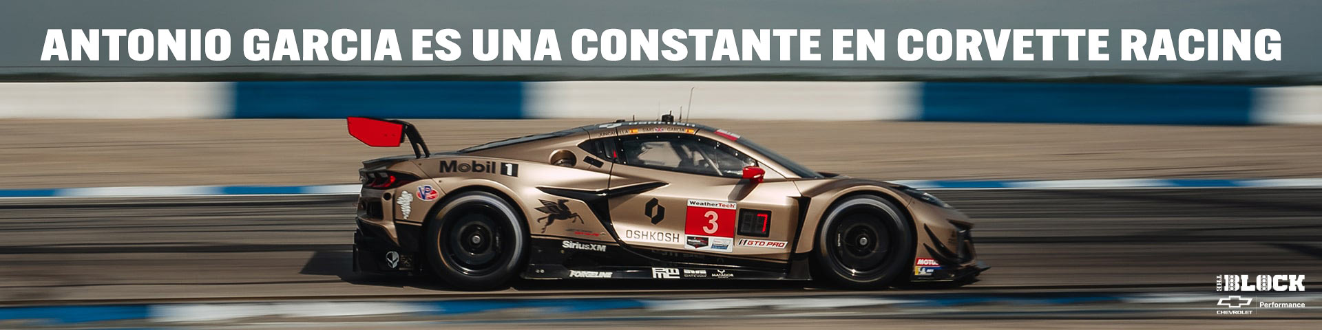 Antonio Garcia es una constante en Corvette Racing